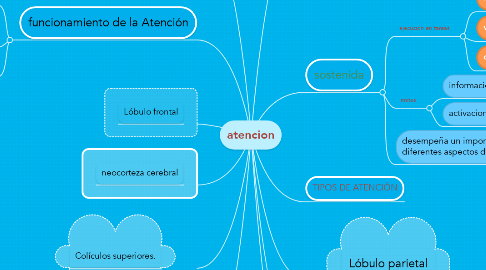 Mind Map: atencion