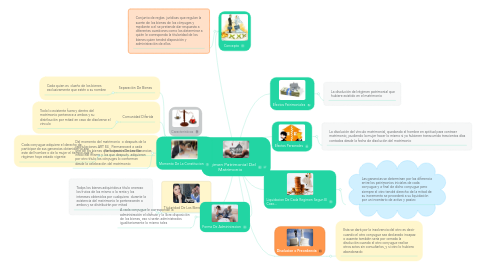 Mind Map: Regimen Patrimonial Del Matrimonio