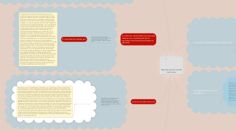 Mind Map: Régimen patrimonial del matrimonio.