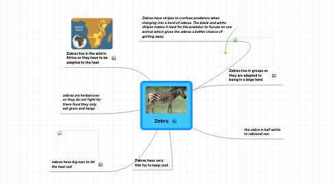 Mind Map: Zebra