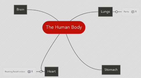 Mind Map: The Human Body