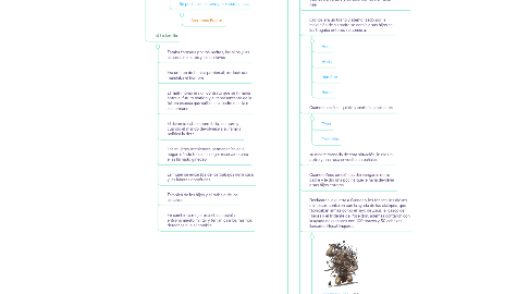 Mind Map: La sociedad, religión y cultura en la antigua Grecia