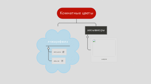 Mind Map: Комнатные цветы