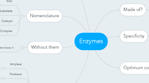 Mind Map: Enzymes