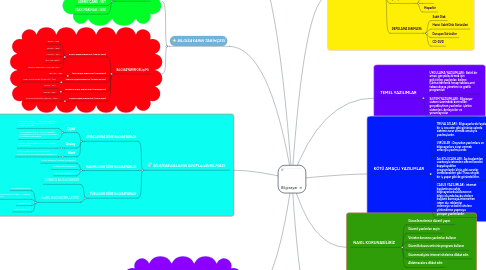 Mind Map: Bilgisayar