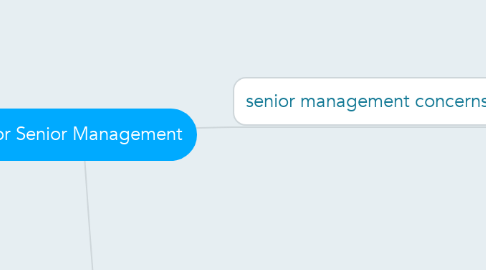 Mind Map: For Senior Management