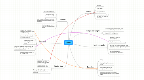 Mind Map: Koalas!!