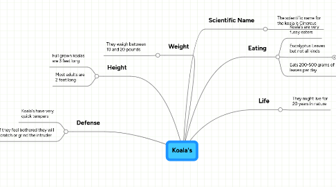 Mind Map: Koala's