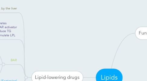 Mind Map: Lipids