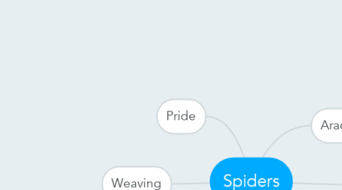 Mind Map: Spiders