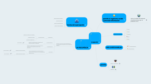 Mind Map: percepción