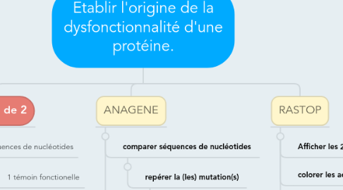 Mind Map: Etablir l'origine de la dysfonctionnalité d'une protéine.