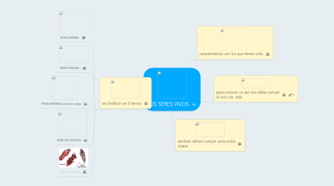 Mind Map: LOS SERES VIVOS.