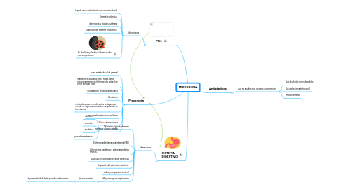 Mind Map: MICROBIOTA