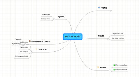 Mind Map: WILD AT HEART