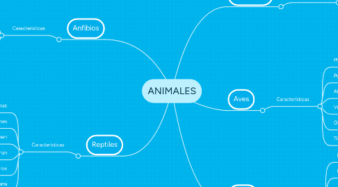 Mind Map: ANIMALES