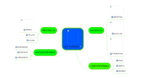 Mind Map: LAS PLANTAS