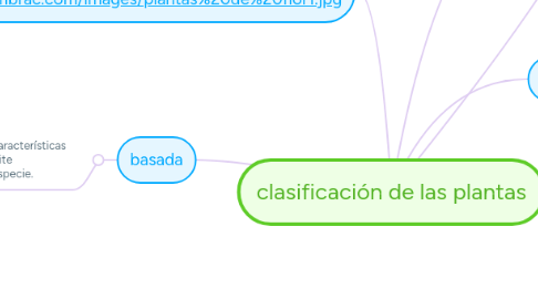 Mind Map: clasificación de las plantas