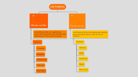 Mind Map: LAS PLANTAS