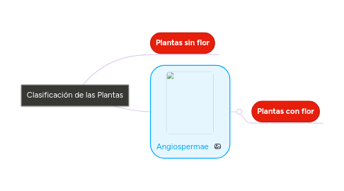 Mind Map: Clasificación de las Plantas