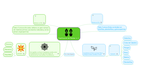 Mind Map: Clasificacion de Plantas