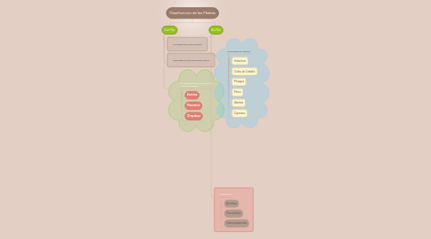 Mind Map: Clasificacion de las Plantas