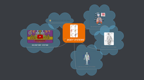 Mind Map: BODY SYSTEMS