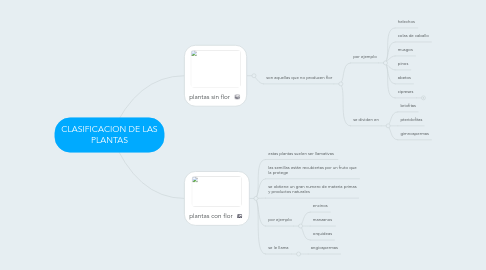 Mind Map: CLASIFICACION DE LAS PLANTAS