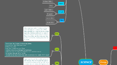 Mind Map: SCIENCE