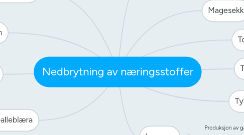 Mind Map: Nedbrytning av næringsstoffer