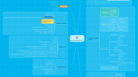 Mind Map: Ниша: доставка пиццы