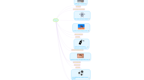 Mind Map: Malaria