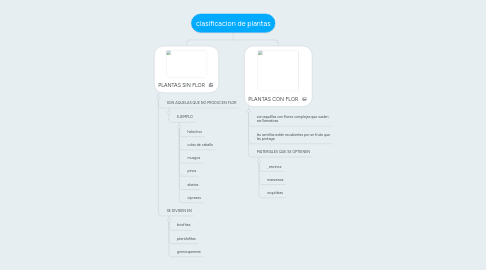 Mind Map: clasificacion de plantas