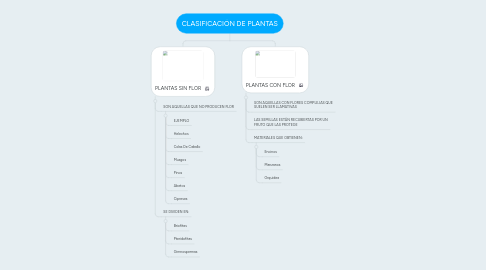 Mind Map: CLASIFICACIÓN DE PLANTAS