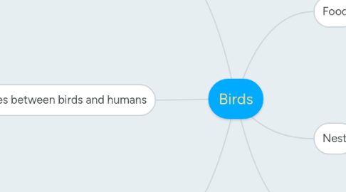 Mind Map: Birds