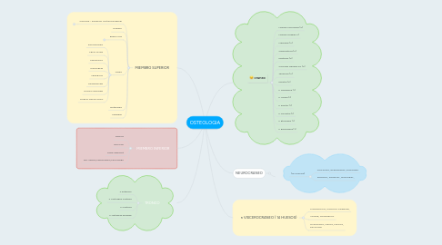 Mind Map: OSTEOLOGIA