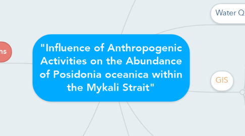 Mind Map: "Influence of Anthropogenic Activities on the Abundance of Posidonia oceanica within the Mykali Strait"