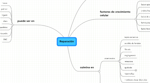 Mind Map: Reparación