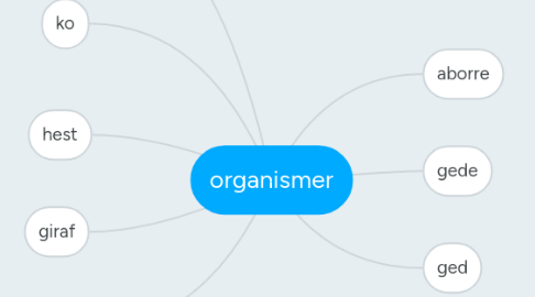 Mind Map: organismer