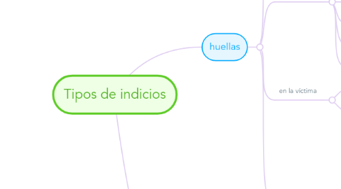 Mind Map: Tipos de indicios