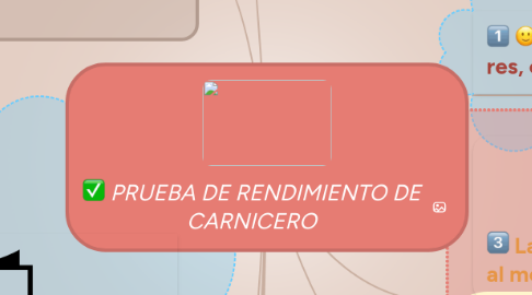 Mind Map: PRUEBA DE RENDIMIENTO DE CARNICERO