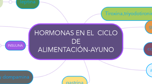 Mind Map: HORMONAS EN EL  CICLO DE ALIMENTACIÓN-AYUNO