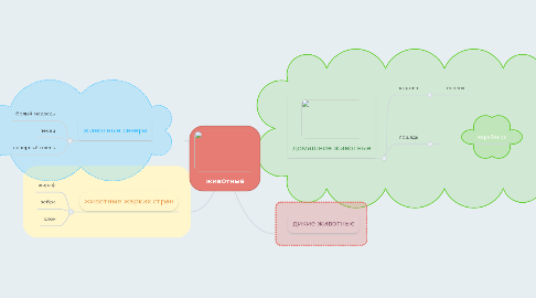 Mind Map: животные