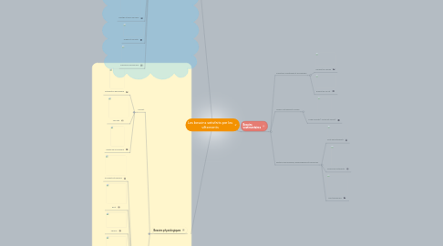 Mind Map: Les besoins satisfaits par les vêtements