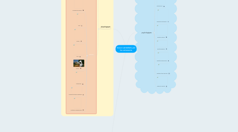 Mind Map: besoin satidsfaits par les vetements