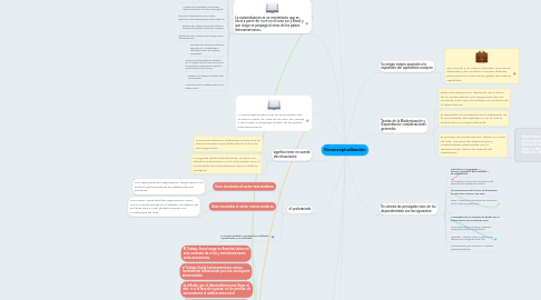 Mind Map: Reconceptualización