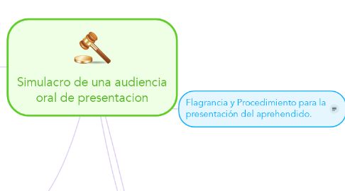 Mind Map: Simulacro de una audiencia oral de presentacion