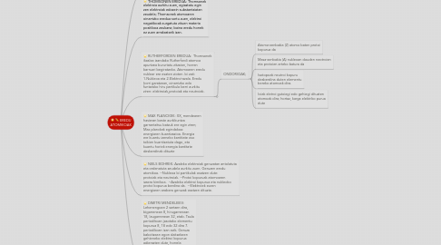 Mind Map: EREDU ATOMIKOAK