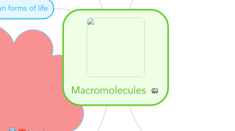 Mind Map: Macromolecules