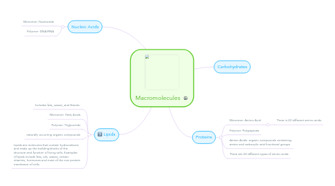 Mind Map: Macromolecules